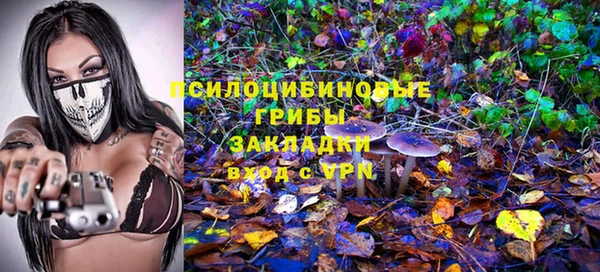 apvp Арсеньев