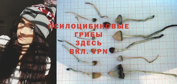 apvp Арсеньев