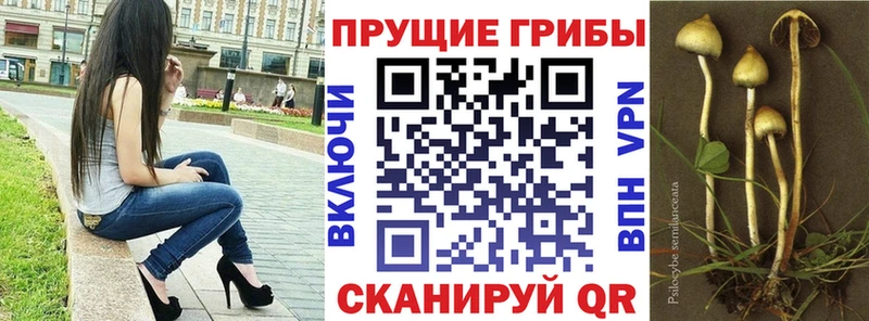 Псилоцибиновые грибы мухоморы  Барабинск 